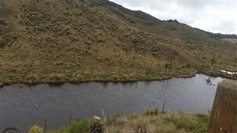 Reserva Forestal Protectora Rfp Nacimiento RÍo BogotÁ Bienes Y