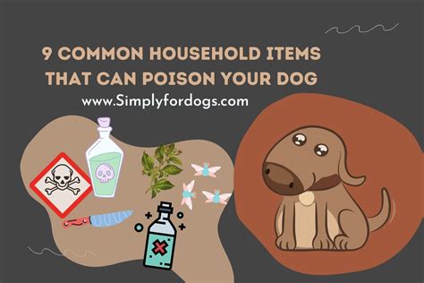 Dog Poison Items Owners Must Know Simply For Dogs