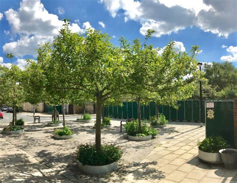 First Uk Installation Of The Arborraft Urban Tree Planting System Revisited
