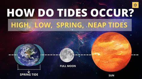 How Do Tides Occur Low Tide High Tide Spring Tide Neap Tide Youtube