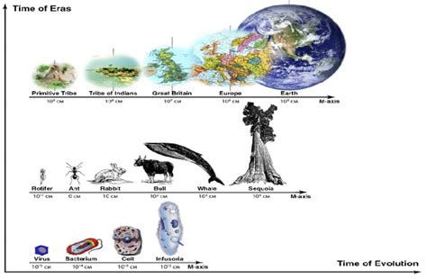 Three Global Stages Of The Evolution Of Life On Earth Download