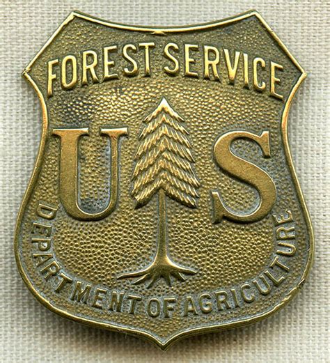 1940s 50s Us Forest Service Ranger Badge Department Of Agriculture