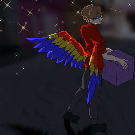 Grian Should Use Custom Textures On His Elytra To Make Them Parrot