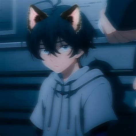 Miya Catboy🛐 Sk8 The Infinity In 2021 Anime Cat Boy Cute Anime