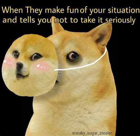 Angry Doge Meme Template Img Paraquat