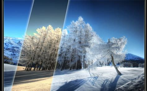 Free Download Beautiful Winter Scenery Wallpaper Hd Wallpaper 1280x800