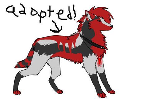 Wolf Adoptible Adopted By Animeanimalgirl On Deviantart