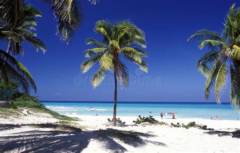 Beautiful Sunset On The Atlantic Coast Of Cuba View Of The Ocean