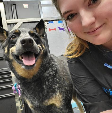 Mickey's Pet Paradise Pet Boarding, Daycare and Grooming | Princeton MN