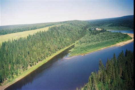 10 Things You Should Know About Virgin Komi Forests Russia Learn