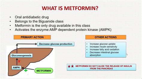 What Drug Class is Metformin?