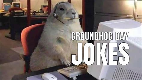 55 Humorous Groundhog Day Jokes And Puns In 2023 Bosstecatl