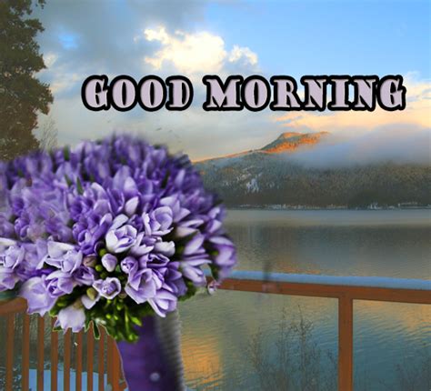 Good Morning With Flowers Free Good Morning Ecards Greeting Cards