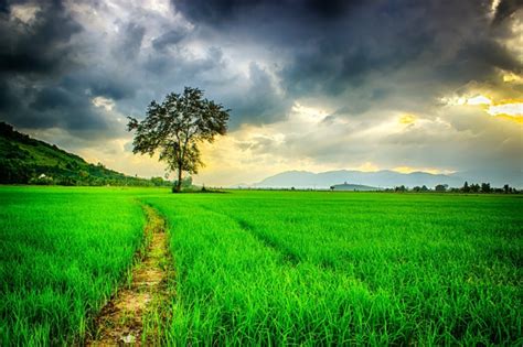 Si os han gustado estos fondos de pantalla de paisajes naturales, os recomendamos que echéis un vistazo a toda nuestra colección de fondos de escritorio, imágenes de todo tipo que podréis utilizar para dar un toque más personal y agradable a vuestras pantallas. 1001 + ideas de fotos para fondos de pantalla paisajes