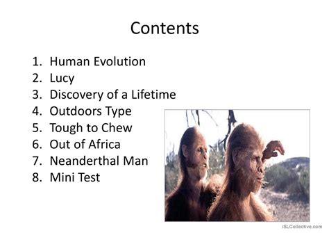 Human Evolution English Esl Powerpoints