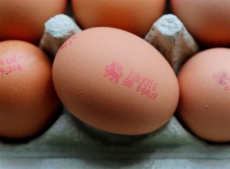 Runny Eggs Safe For Pregnant Women To Eat Says Report The