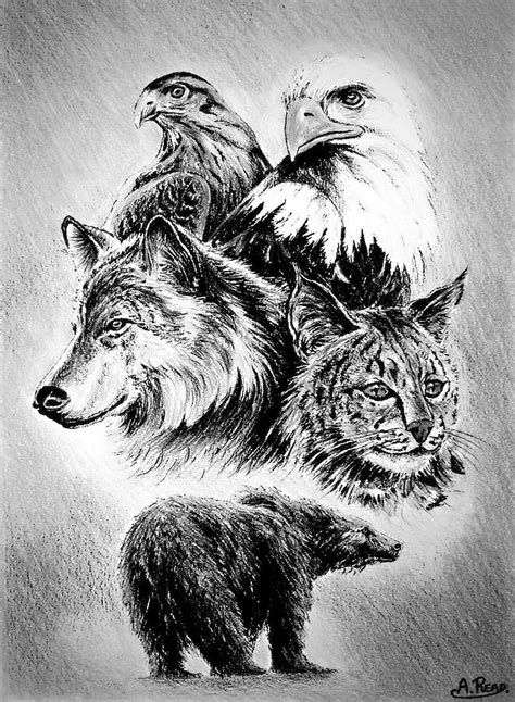 Wild Animals Pencil Drawing Images Img Crabs