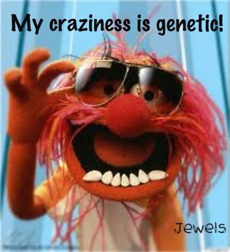 25 Best The Muppet Quotes And Sayings Images On Pinterest Jim Henson