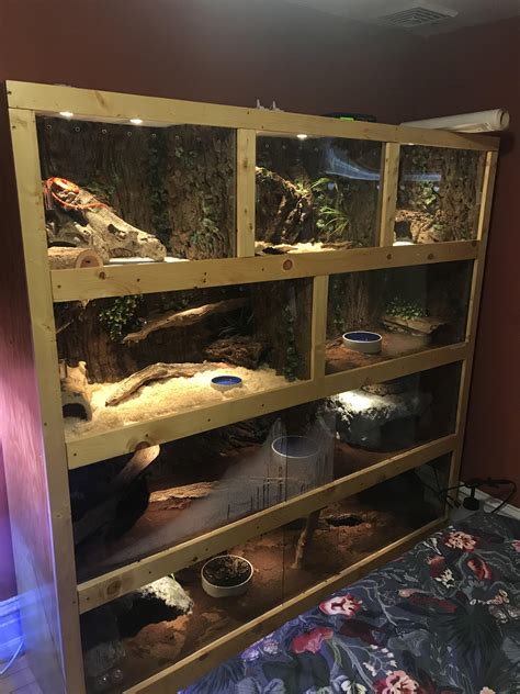Finally Finished My Snake Rack Build I Have About 500 Into It Its