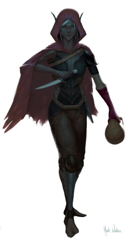 Rf Drow Thief Characterdrawing Dungeons And Dragons Characters