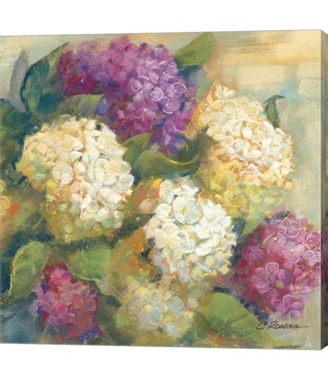Hydrangea Delight Ii By Carol Rowan Canvas Art Multi Painting