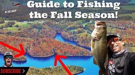 Guide To Fishing The Fall Season Youtube