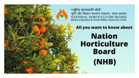 National Horticulture Board Nhb How It Works For Farmers In India