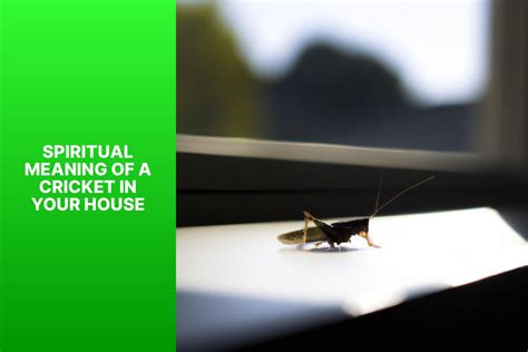 Uncovering the Spiritual Meaning of Having a Cricket in Your House