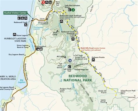 Redwood National And State Parks Things To Do And Tips For Visiting