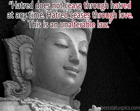 51 Buddha Quotes On Love And Life With Images Best Status Pics