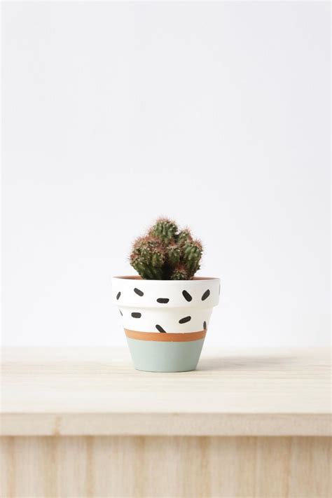 A Small Potted Plant Sitting On Top Of A Wooden Table