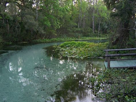 rock springs run is florida s natural lazy river tripstodiscover