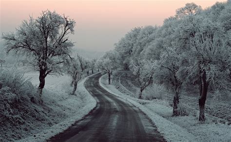 Download Snow Tree Winter Forest Man Made Road 4k Ultra Hd Wallpaper