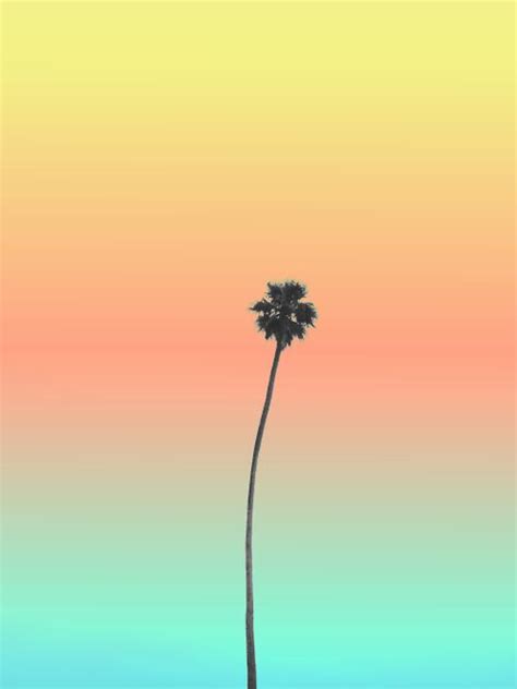 Palette Endless Summer Summer Palm Trees