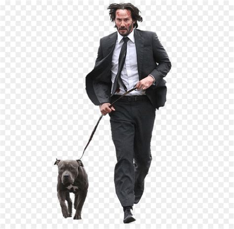 With its steady camerawork and methodological. Hunde Rasse von John Wick? (Hund)