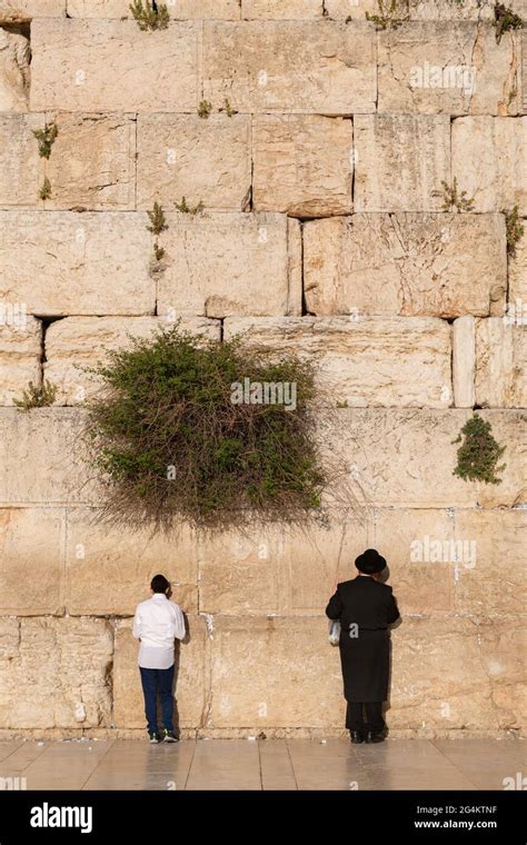 People Praying At Western Wall Also Called Kotel Or Wailing Wall In