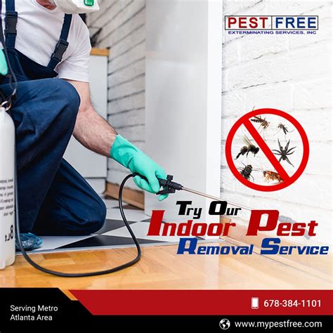 Try Our Indoor Pest Removal Service To Get Rid Of The Pests Inside Your