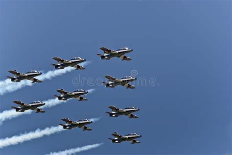 Wedge Flight Formation Picture Image 87859188