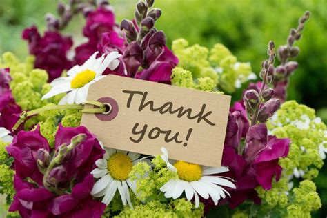 Thank You Bouquet Willows Flowers
