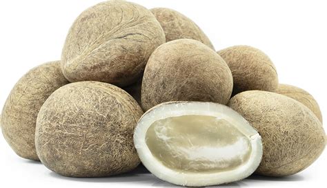 Dry Coconut Information Recipes And Facts