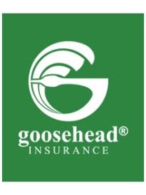 Is a holding company, which engages in the provision of independent personal lines insurance agency. James Givens - Goosehead