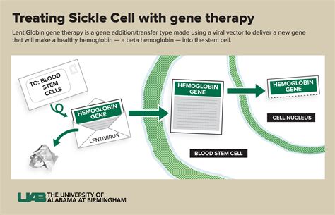 New Gene Therapy Could Provide Cure For Sickle Cell Disease According