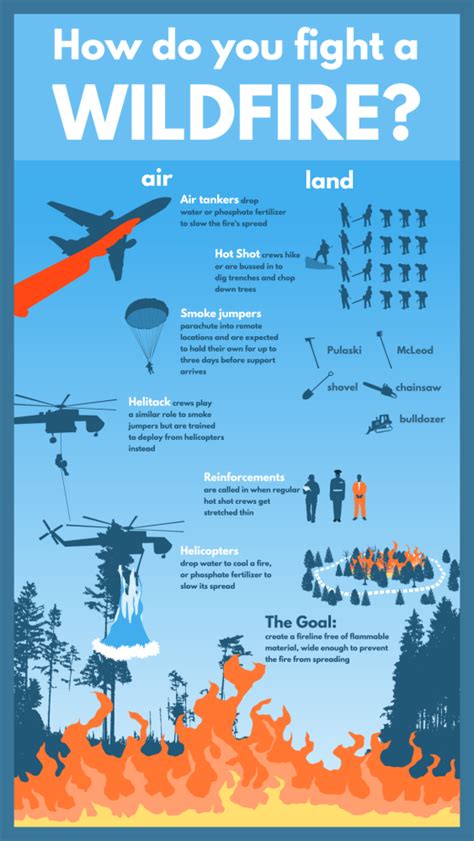 Explainer Video How Firefighters Combat Wildfires Infographic