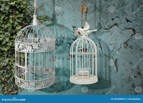 Two Vintage Bird Cages Stock Photo Image Of Decorative 205398818