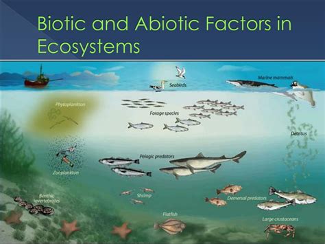 Ppt Science 10 Biology Powerpoint Presentation Free Download Id