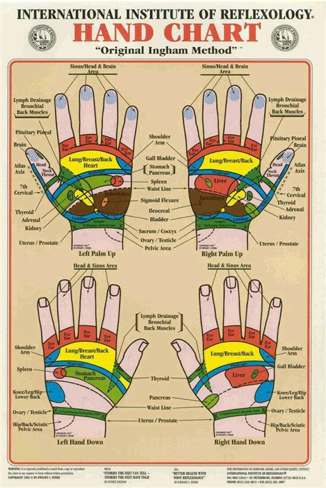 Pin By Deb Hallem On Health Reflexology Hand Reflexology Reflexology Chart