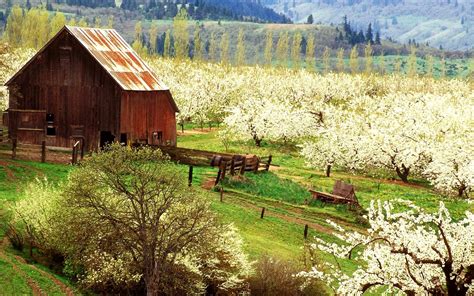 On summer and fall weekends, arrive early and consider carpooling to ensure a parking space. Spring Farm Scenes Wallpaper - WallpaperSafari Flower ...