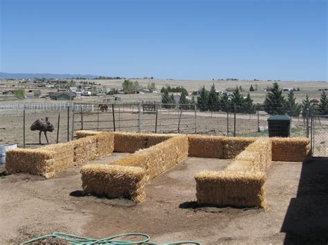 Maybe you would like to learn more about one of these? Straw Bale Gardening - Photo blog | HS Blog