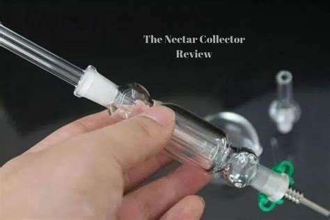 Reefer Posts The Nectar Collector Review Should You Get One