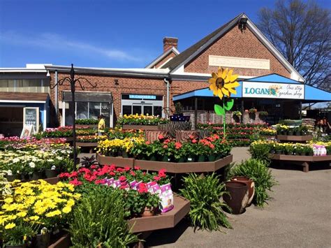 Local Nurseries And Garden Centers In The Triangle To Explore This